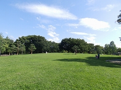 Wakasato park